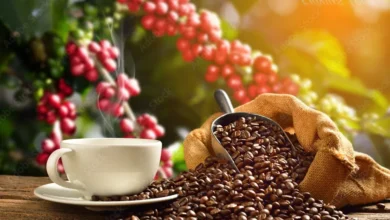 cafea boabe recomandata pentru espressoarele automate