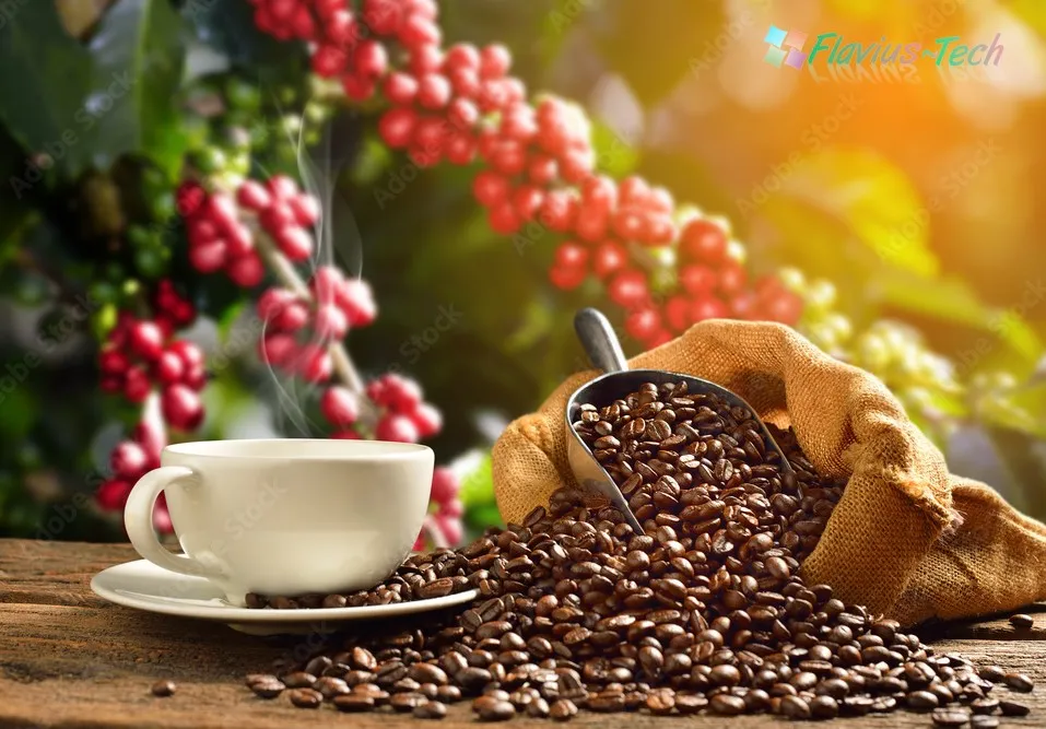 cafea boabe recomandata pentru espressoarele automate
